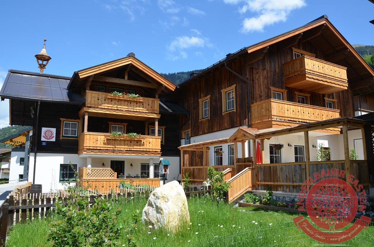 Anderlbauer Διαμέρισμα Dorfgastein Εξωτερικό φωτογραφία